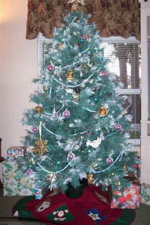 Jen's Tree (at her Mom's house)